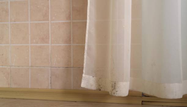 Best Indoor Air Quality Assessment  in Ferrysburg, MI